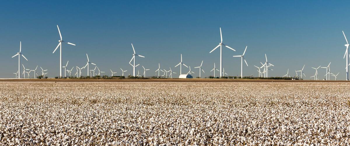 Wind Turbines Alternative Energy Texas Cotton Field Agriculture