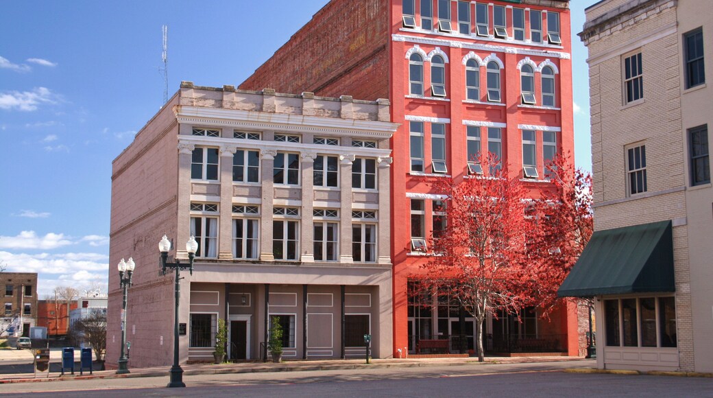 ย่านประวัติศาสตร์ไฮแลนด์