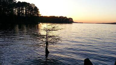A sunset over a calm lake with a tree in the water and a dock in the foreground.