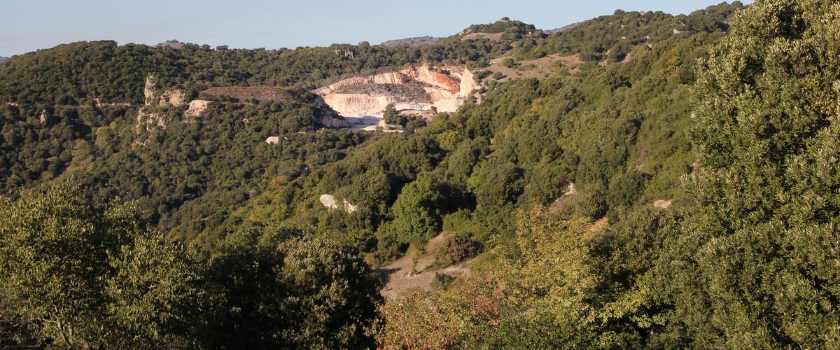 A mountainous landscape with dense green forests and a prominent cliff face.