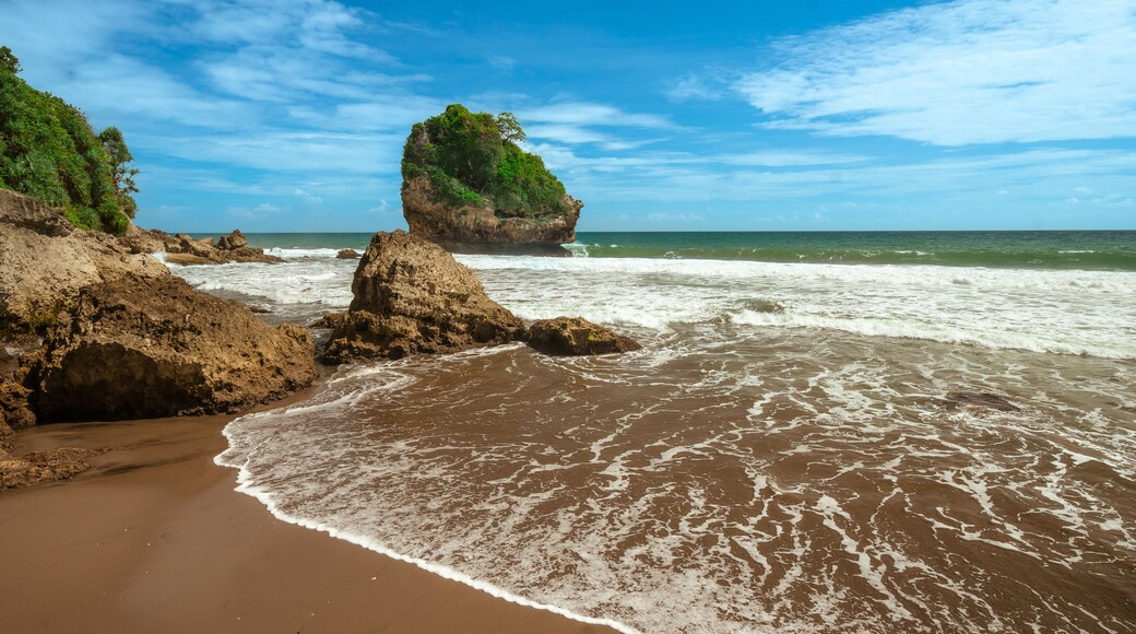 Tropical Beach Landscape with Waves and Blue Sky