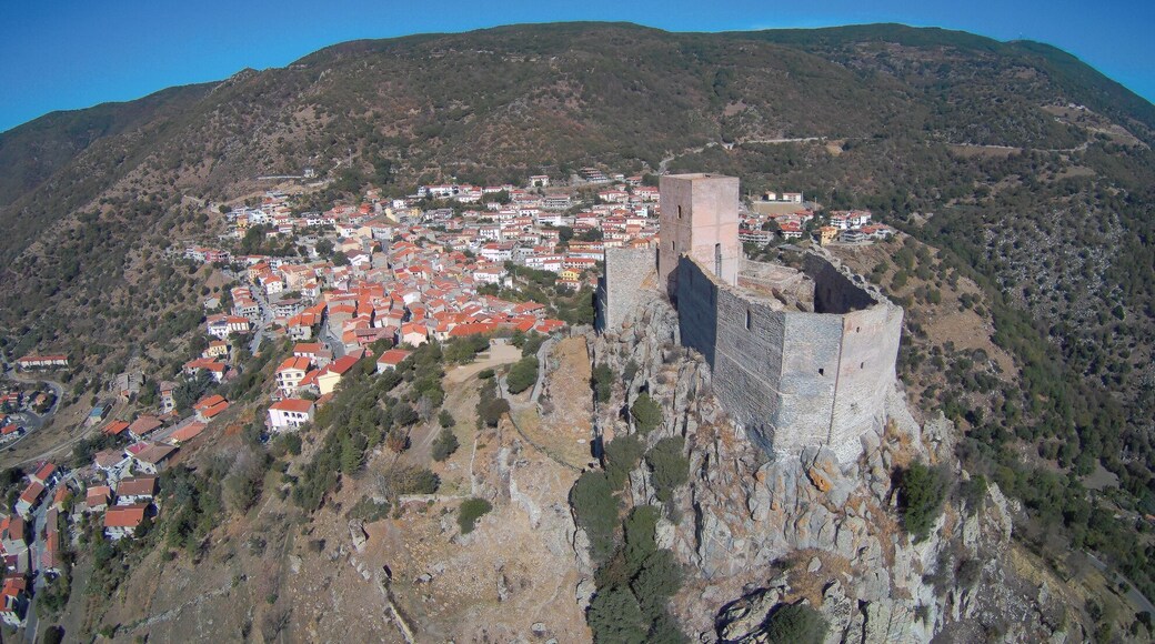 Further authorizations required by the Italian "Code of Cultural Heritage and Landscape" (Codice Urbani), under Legislative Decree No. 42, dated January 22, 2004, and its subsequent amendments, regarding the reuse of the picture. This image reproduces a property belonging to the Italian cultural heritage as entrusted to the Italian government. Such images are regulated by Articles 106 et seq. of the Italian Code of Cultural Heritage and Landscape under Legislative Decree No. 42, dated January 22, 2004, and its subsequent amendments. These regulations, unrelated to copyright regulations, establish a system for the protection of Italy’s historic and artistic heritage and its standards of dignity. Among other things, these regulations provide for the payment of a concession fee by those who intend to benefit economically from reproductions of property belonging to the Italian cultural heritage. Reproduction of this image is permitted for personal use or study. A further authorization by the Italian Ministry of Heritage and Culture is required for reproduction for any other purpose, and particularly for commercial use. Such commercial use includes, but is not limited to, use in (a) any form of advertising, and (b) any company name, logo, trademark, image, activity, or product.