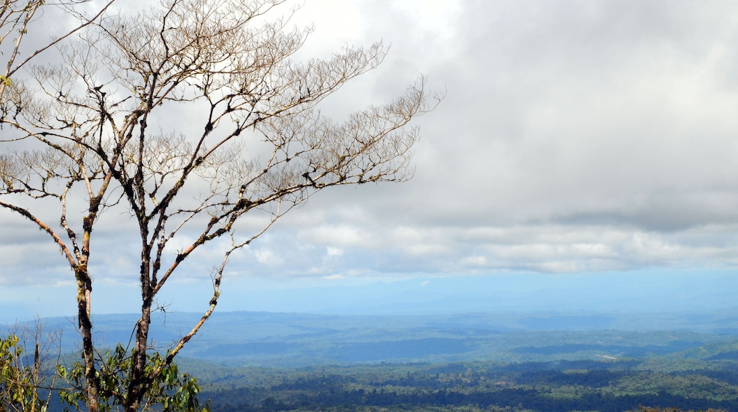 From Andes to Amazon, View of the tropical rainforest, Ecuador