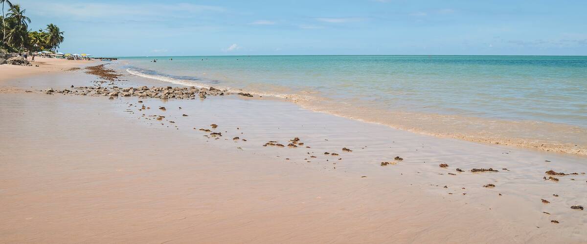 Calm beach with seaweed and rocks on sand of Praia do Bessa beach, Joao Pessoa PB, Brazil.
