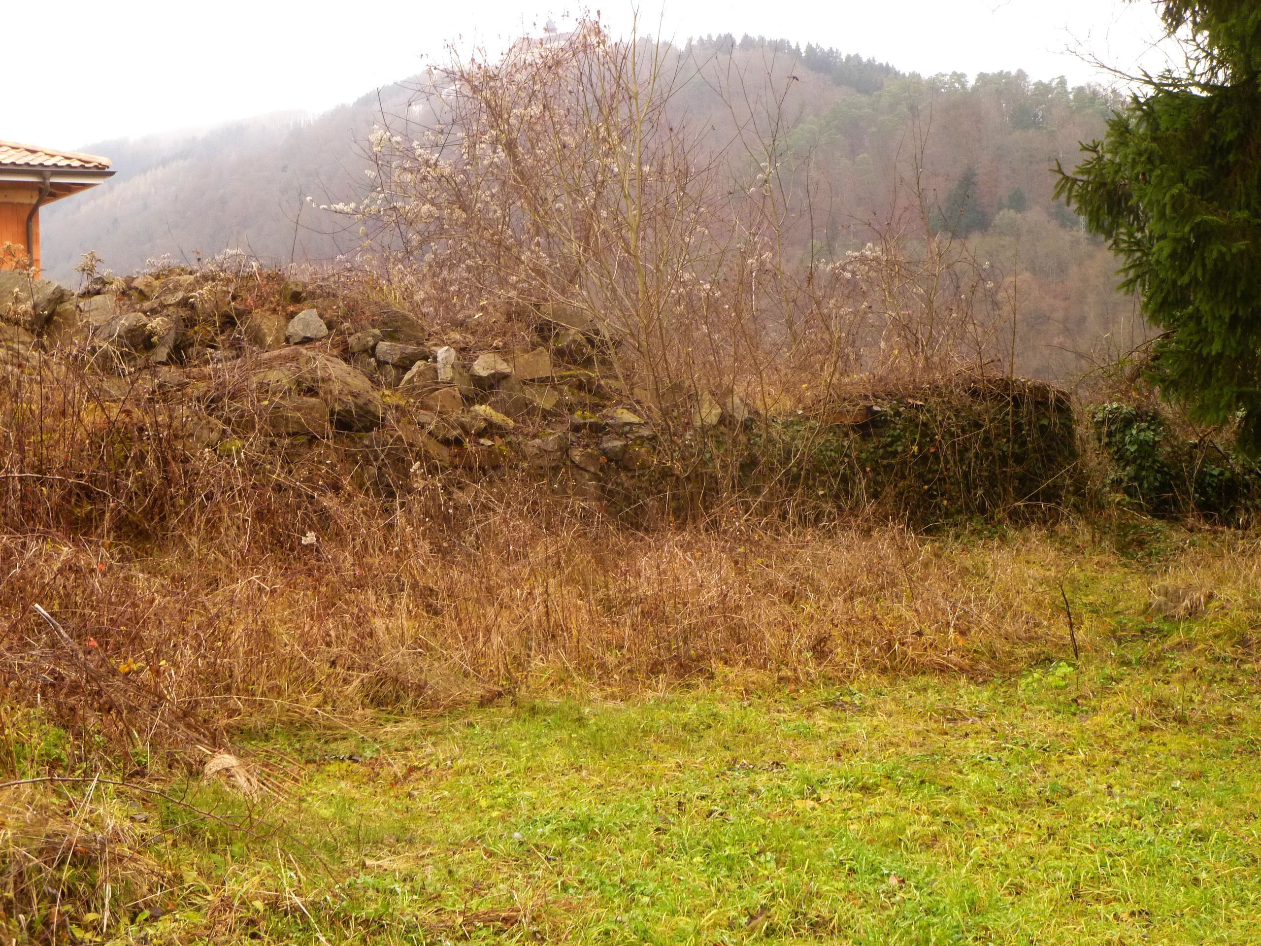 Römisches Kleinkastell (Burgus) in Oberranna