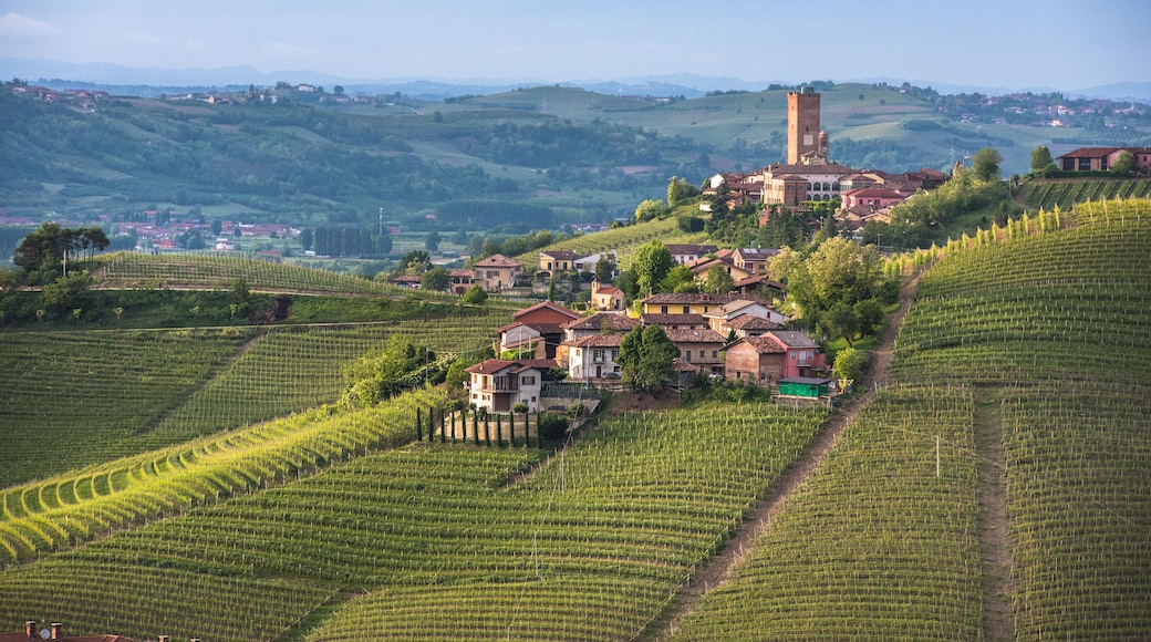 Panorama of Piedmont vineyards and Barbaresco town