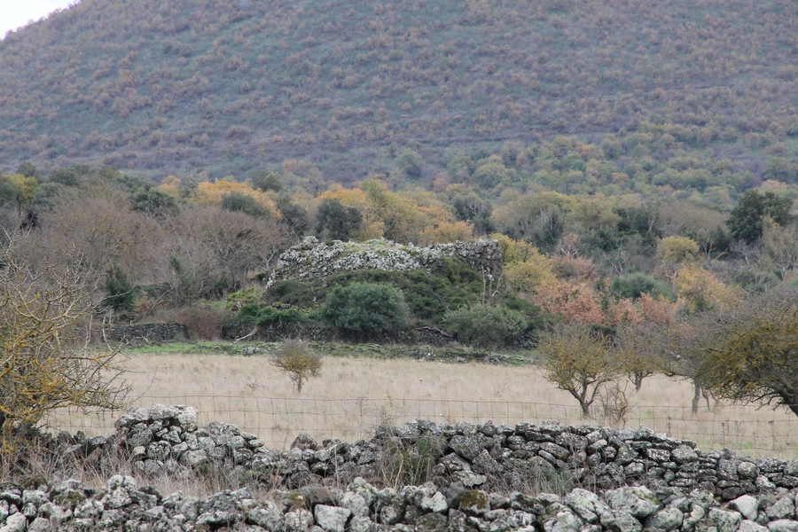 A stone wall, a fenced field, and a forested hill.