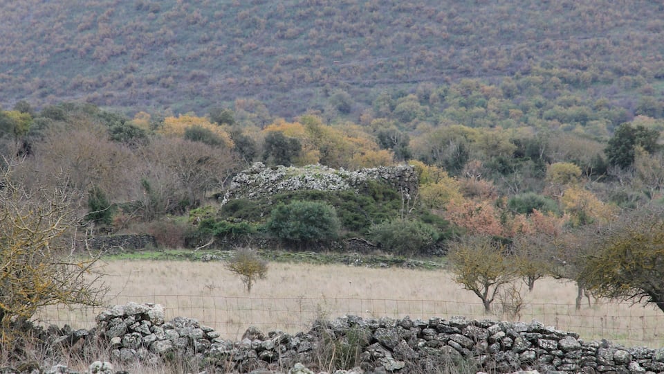 A stone wall, a fenced field, and a forested hill.