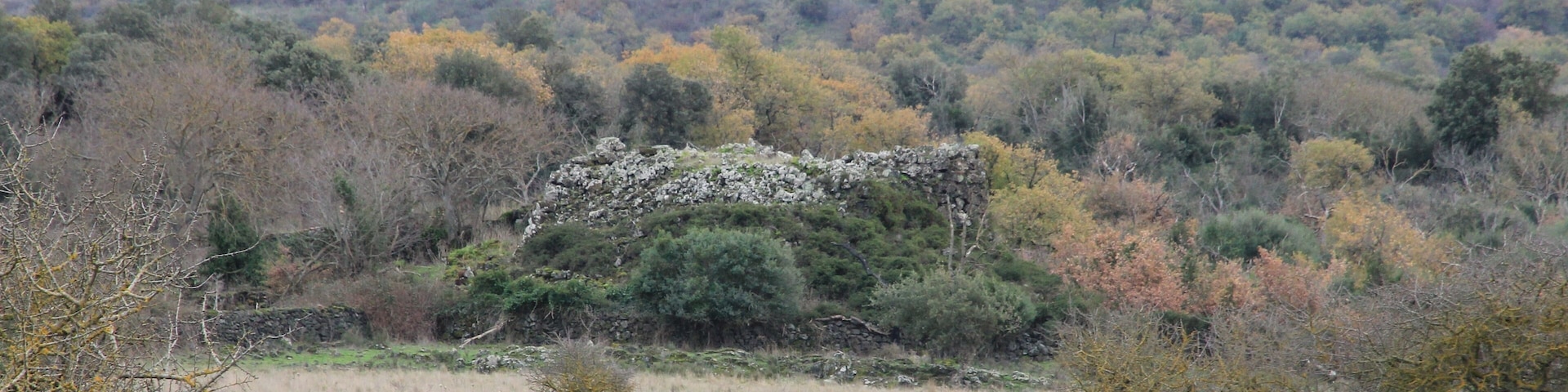 Bonorva - Nuraghe Frasciosu