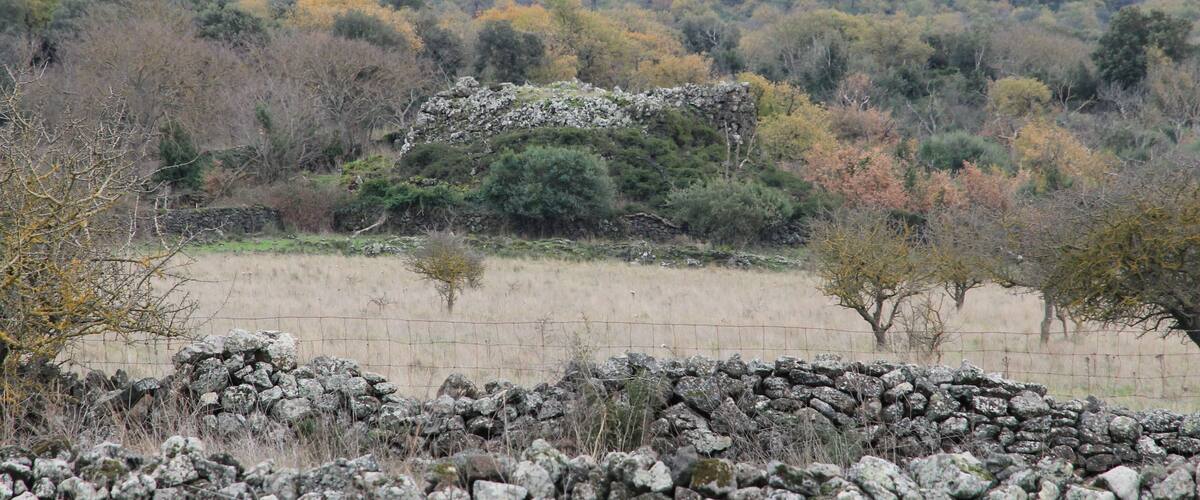 A stone wall, a fenced field, and a forested hill.