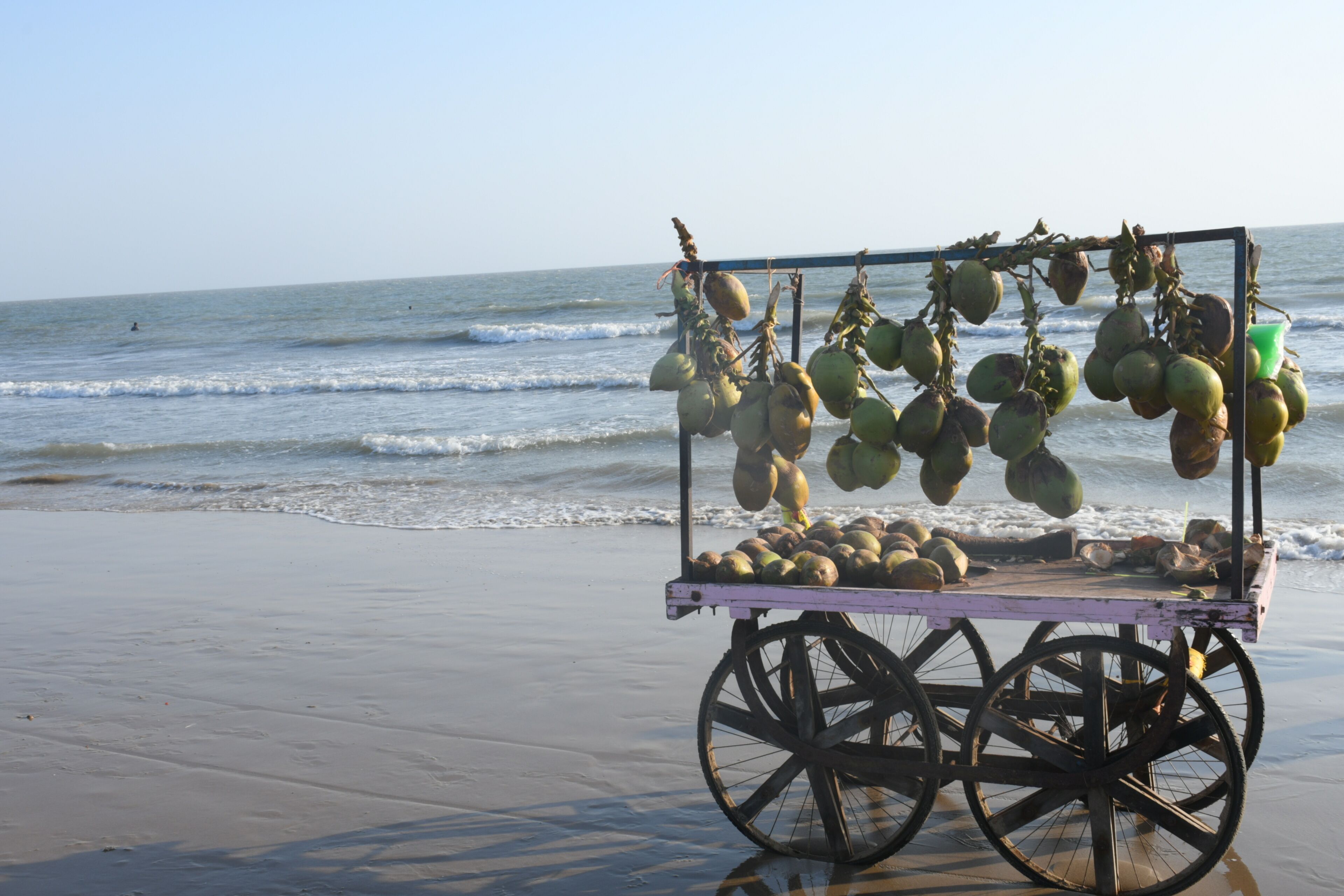 Coconut Cart at Mandvi Beach of kutch, Gujarat, India, Tourism Place of India