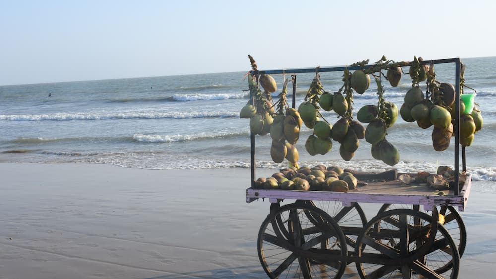 A beach cart with coconuts and a green bucket on a sandy beach with ocean waves in the background.