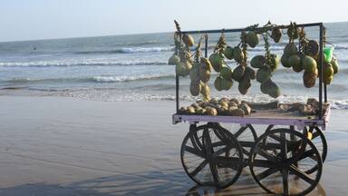 Coconut Cart at Mandvi Beach of kutch, Gujarat, India, Tourism Place of India