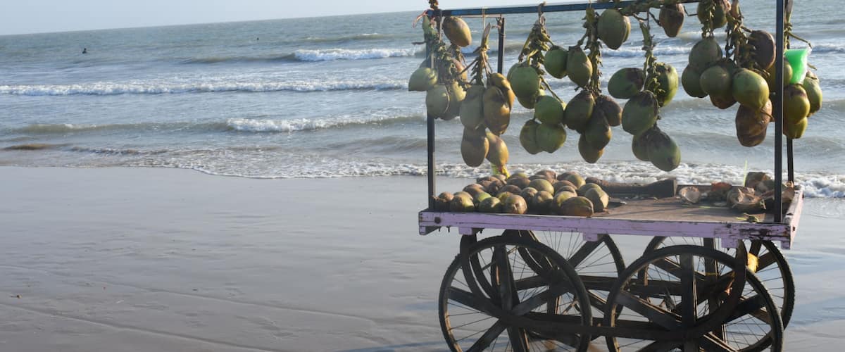A beach cart with coconuts and a green bucket on a sandy beach with ocean waves in the background.