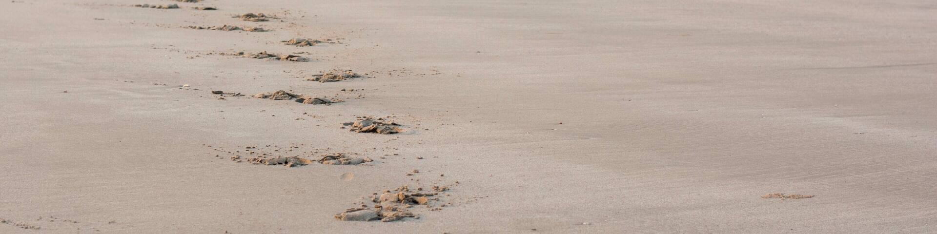 The photo captures the footsteps of a camel leading to a windmill at some distance.
Mandvi is a small town beach in Gujarat near Kutch and its beauty lies in simplicity. Be sure to discover the town on foot or maybe try a camel ride on the beach.
#LifeAtExpedia #mandvi #beach #gujarat