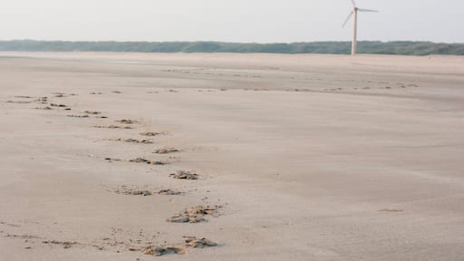 The photo captures the footsteps of a camel leading to a windmill at some distance.
Mandvi is a small town beach in Gujarat near Kutch and its beauty lies in simplicity. Be sure to discover the town on foot or maybe try a camel ride on the beach.
#LifeAtExpedia #mandvi #beach #gujarat