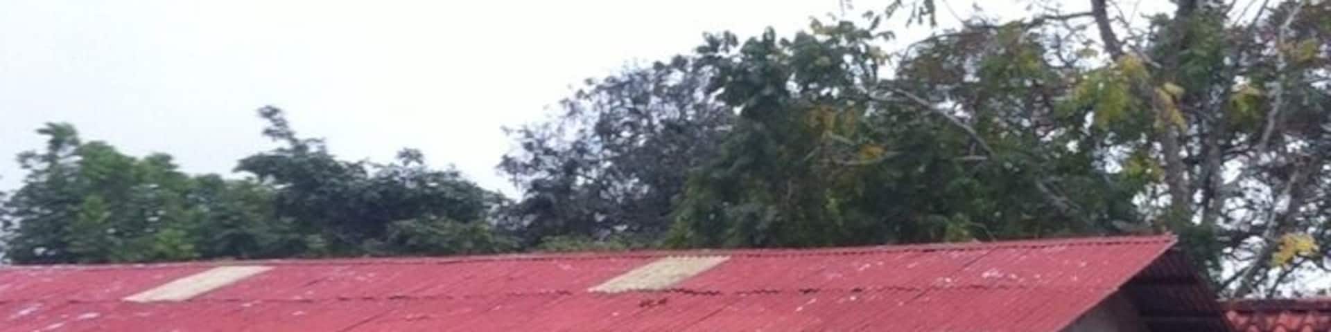 Costa Rican horses in El Rodeo Ciudad Colon