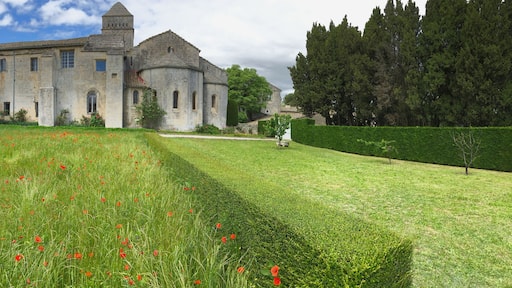 Saint-Rémy-de-Provence