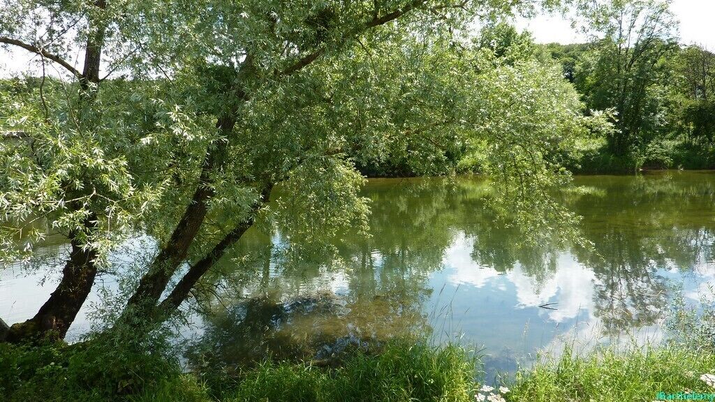 Le Doubs à Arbouans