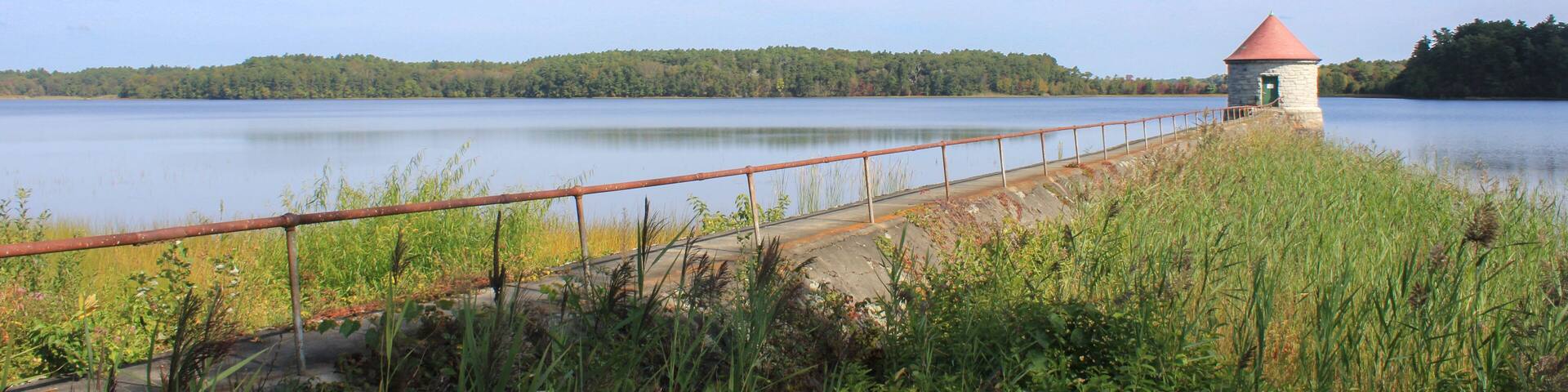 water treatment and purification plant