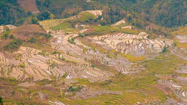 Infinite rice fields at Laohuzui aka Tiger Mouth in Yuanyang, China
