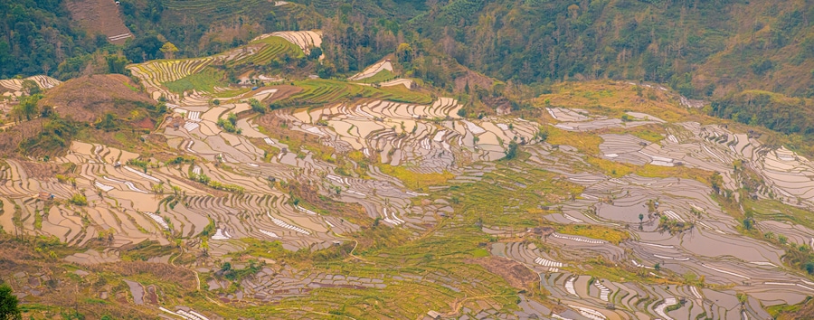 Infinite rice fields at Laohuzui aka Tiger Mouth in Yuanyang, China