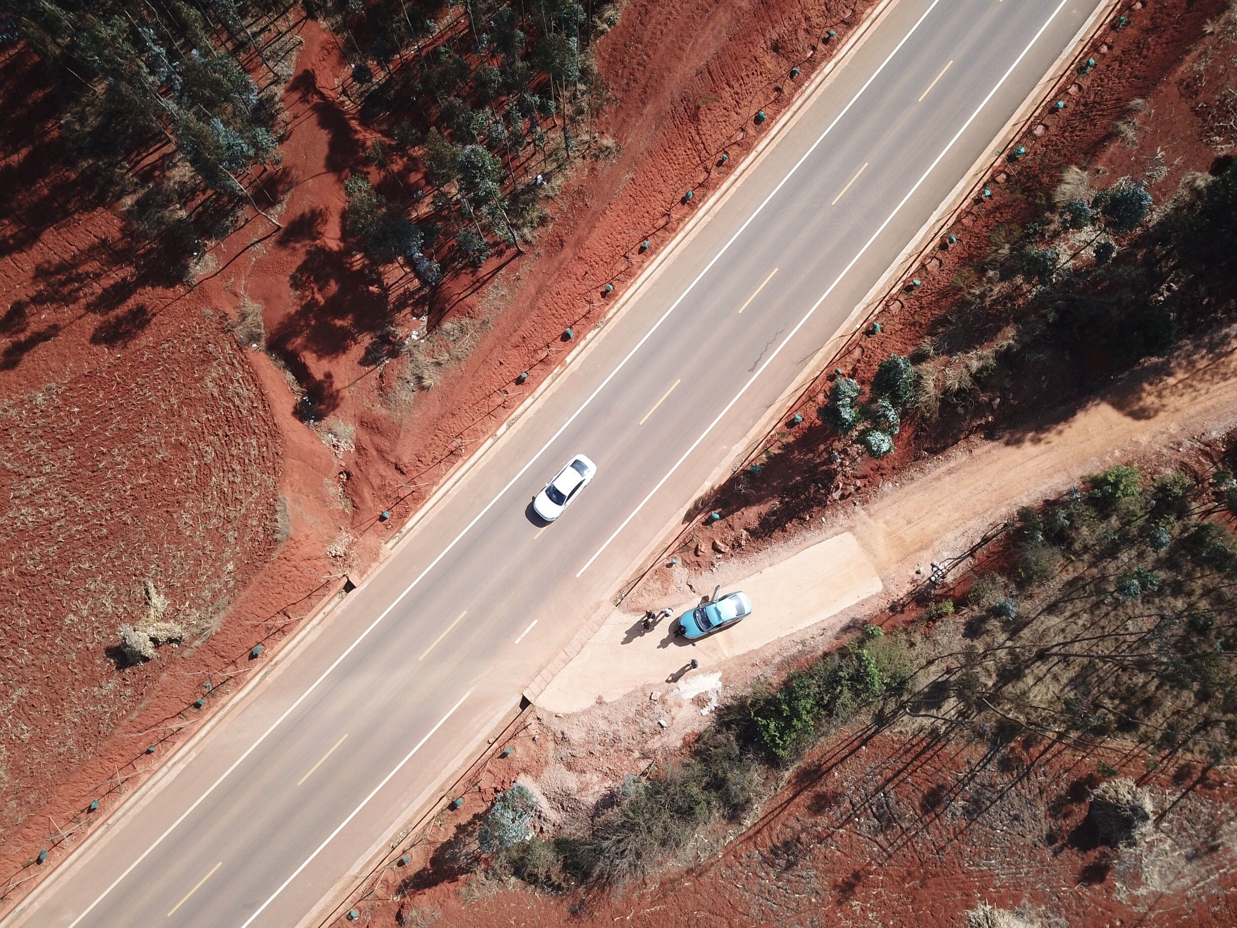 Lost at the red land！