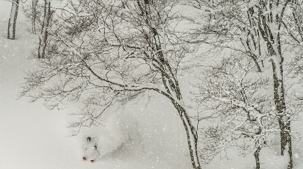 A ski resort on the flanks of Mount Iwaki and within viewing distance to the sea of Japan. Things sometimes get deep in these parts! #adventure