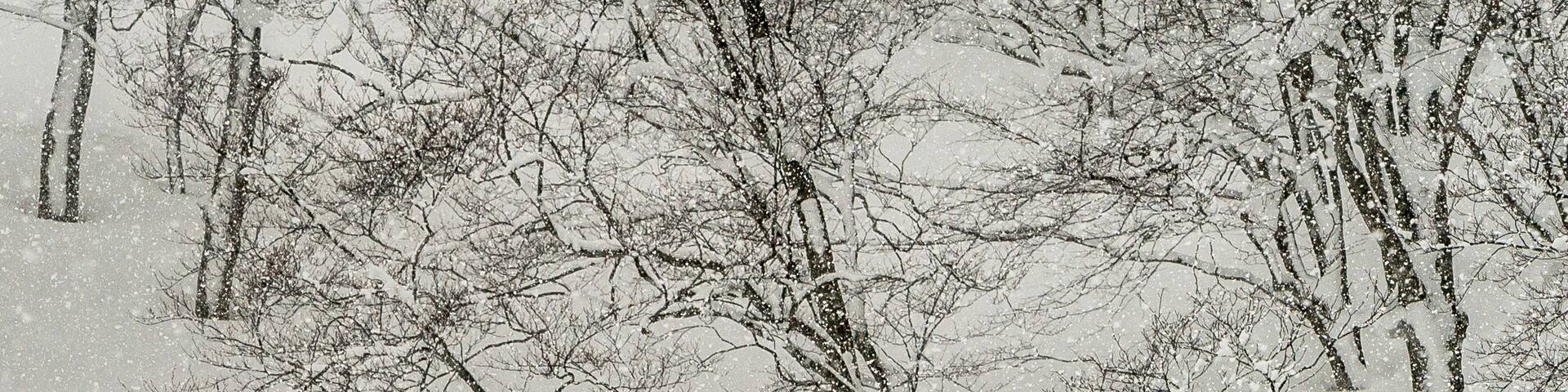 A ski resort on the flanks of Mount Iwaki and within viewing distance to the sea of Japan. Things sometimes get deep in these parts! #adventure