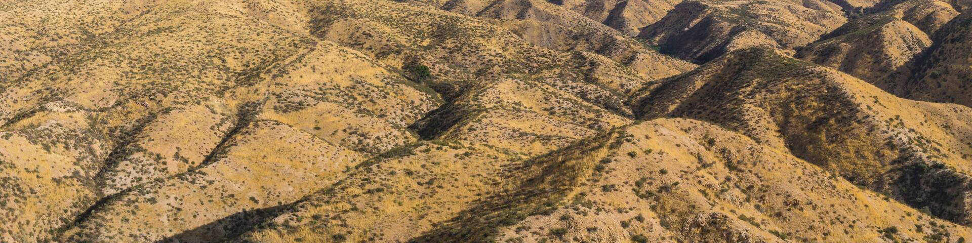 Endless hills of southern California's valleys and canyons.