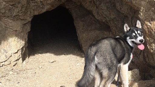 Finally found the opening to the old mine.