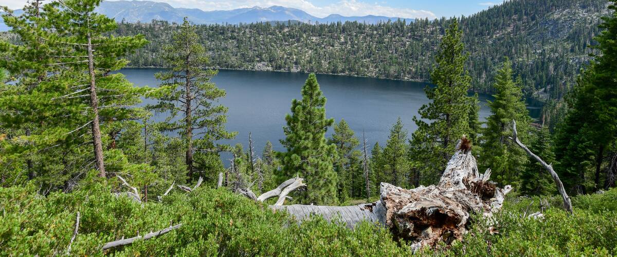 A lake surrounded by dense forests and mountains.