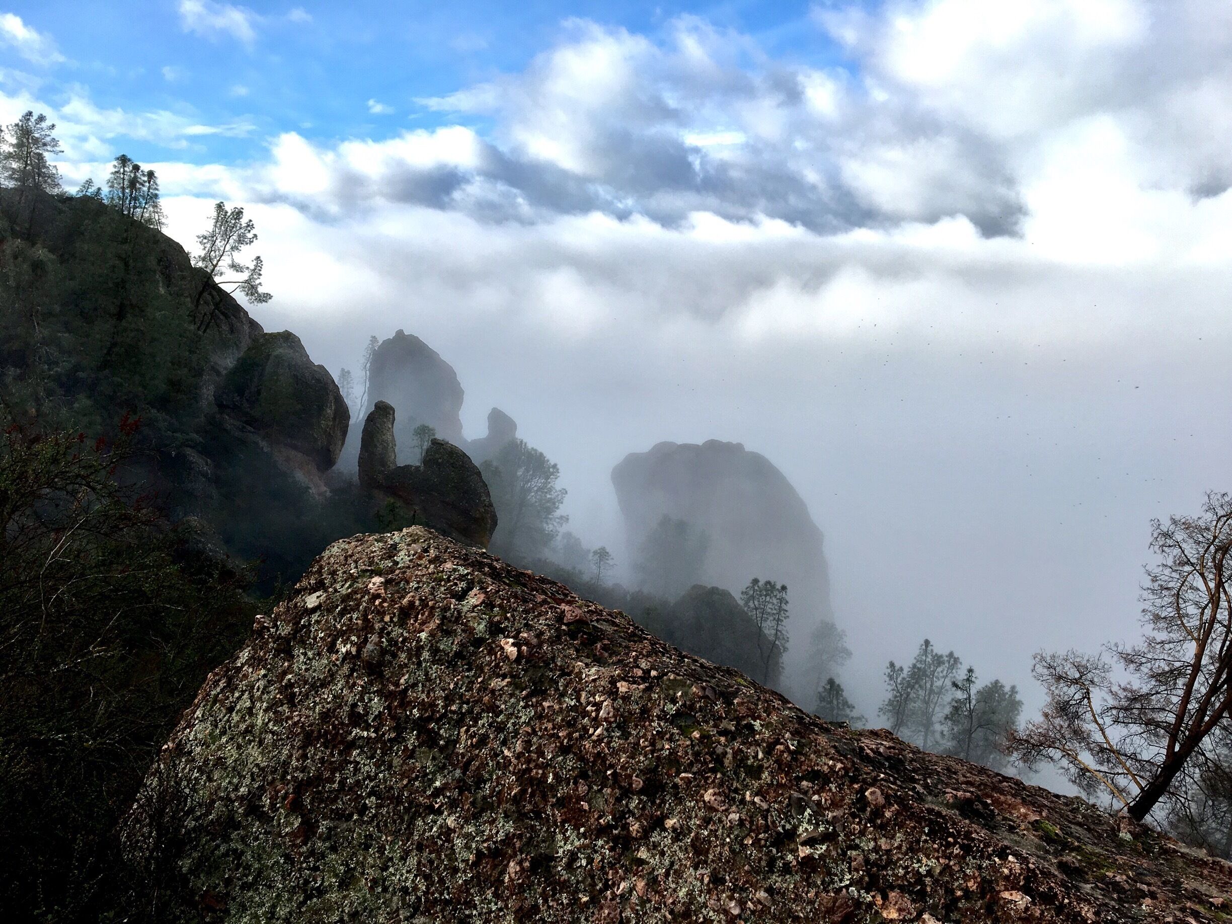 Older pic from Pinnacles National Park in CA #Hiking