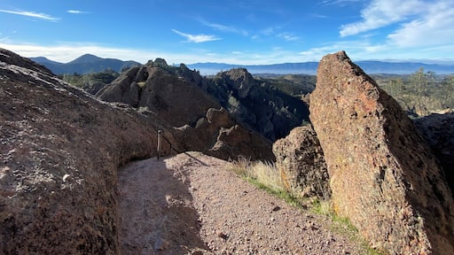 Following this trail through Pinnacles National Park #pinnaclesnationalpark #nature
