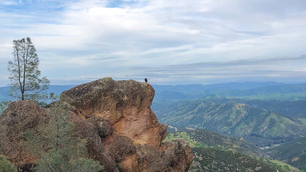 A rocky cliff with a bird perched on top, surrounded by green hills and a partly cloudy sky.