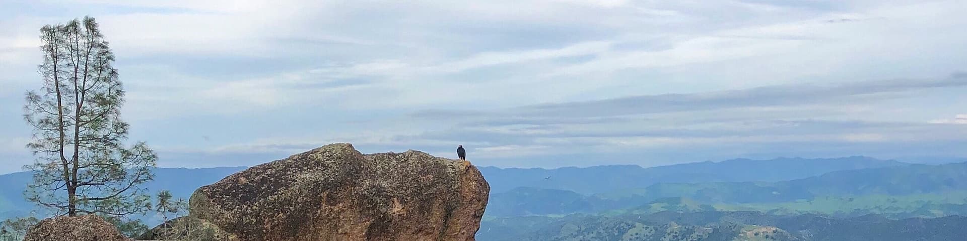 A rocky cliff with a bird perched on top, surrounded by green hills and a partly cloudy sky.