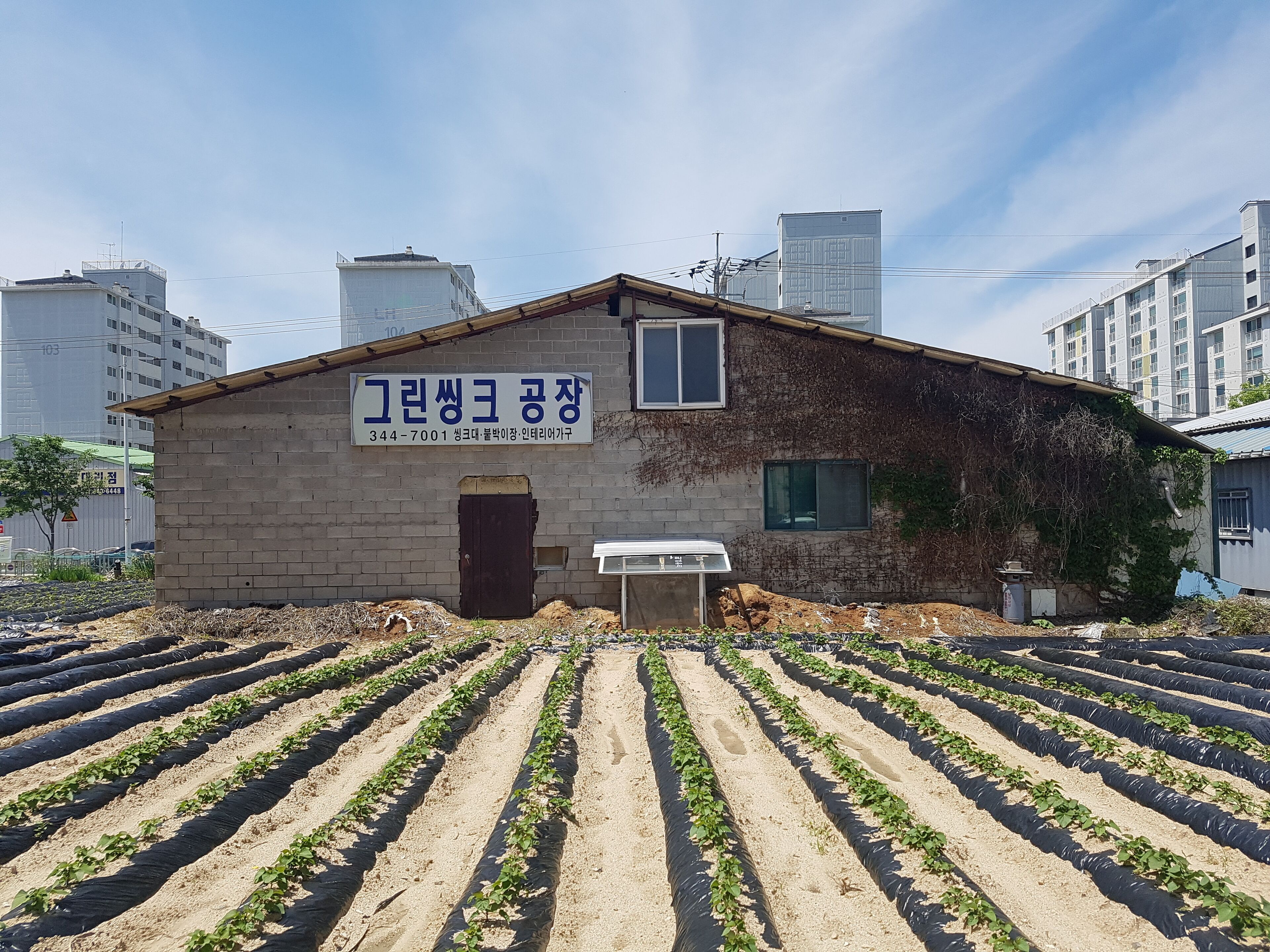 그린씽크공장 후면