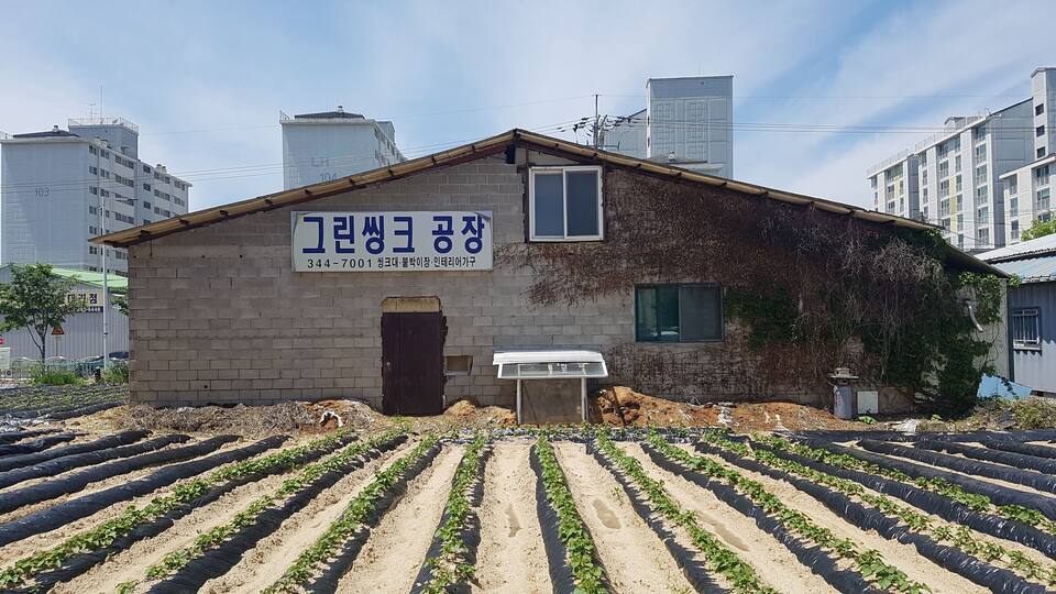 A building with a sign in a foreign language, surrounded by rows of crops.
