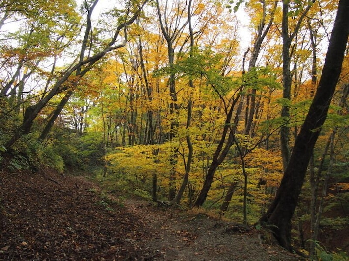 碓氷峠_北向馬頭観世音付近の道