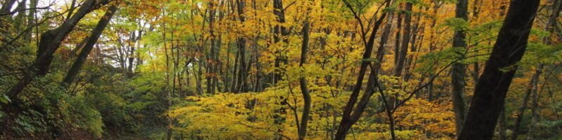 çąæ°·ćł _ćć銏é èŠłäžéłä»èżăźé