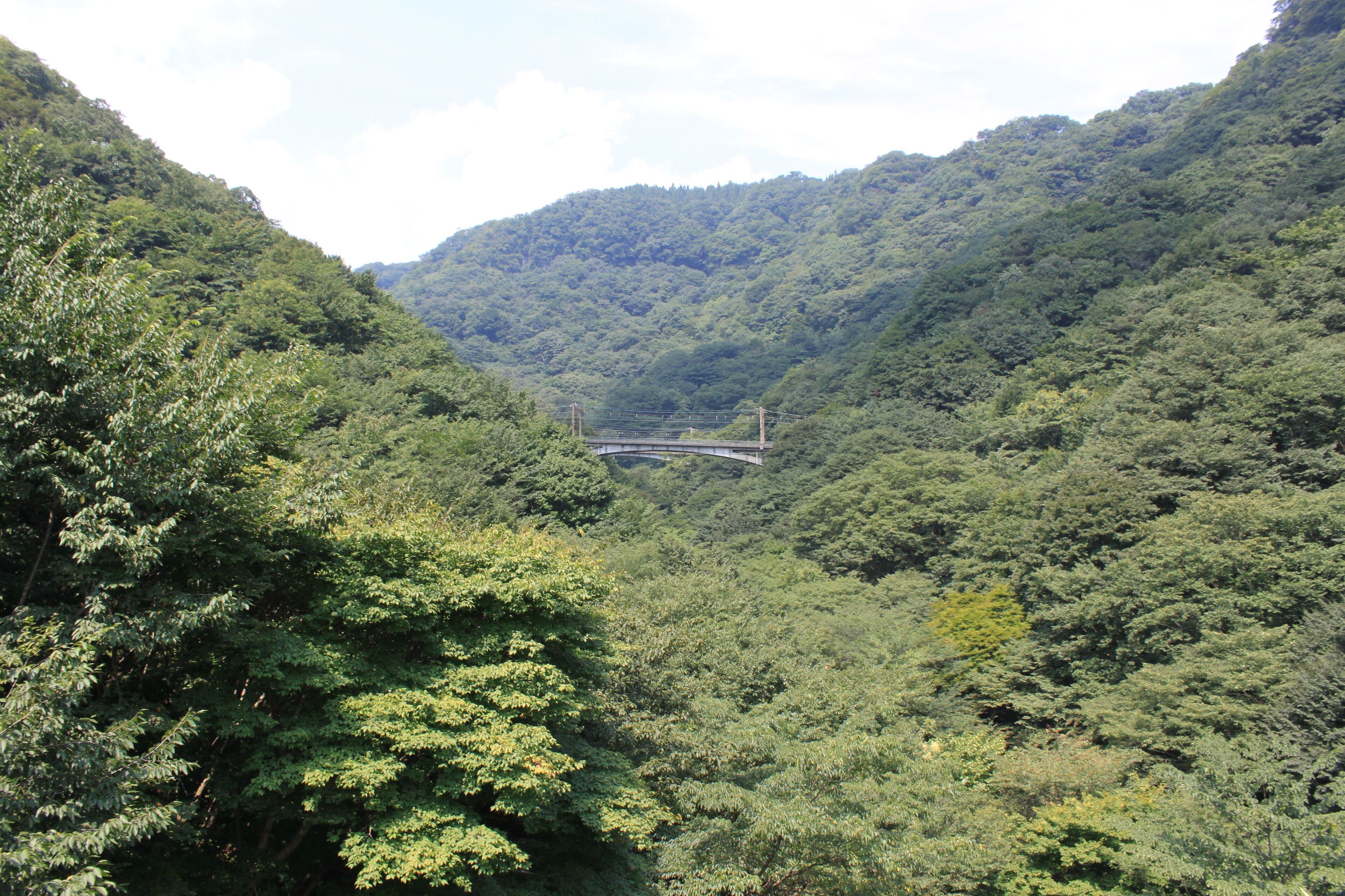 旧信越本線橋梁