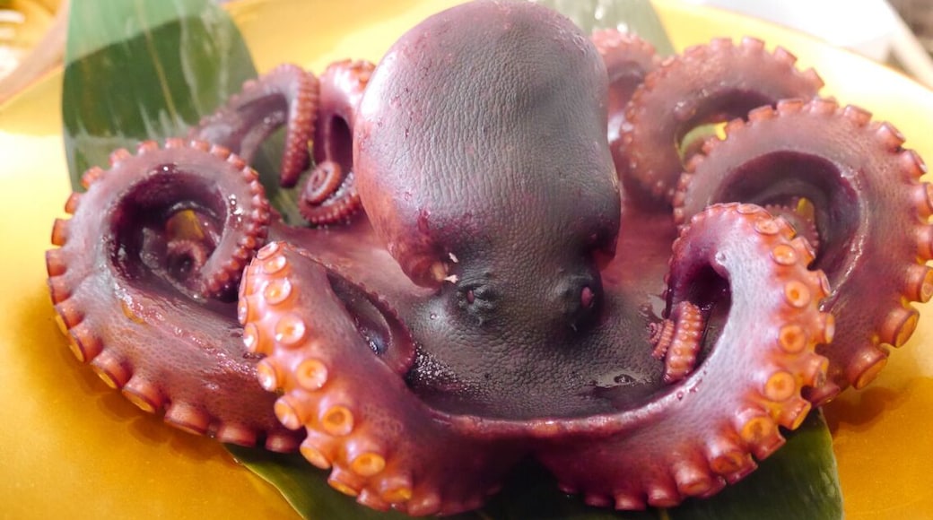 The octopus which I boiled