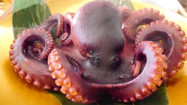 Pulpo cocido sobre un plato amarillo con hojas verdes.