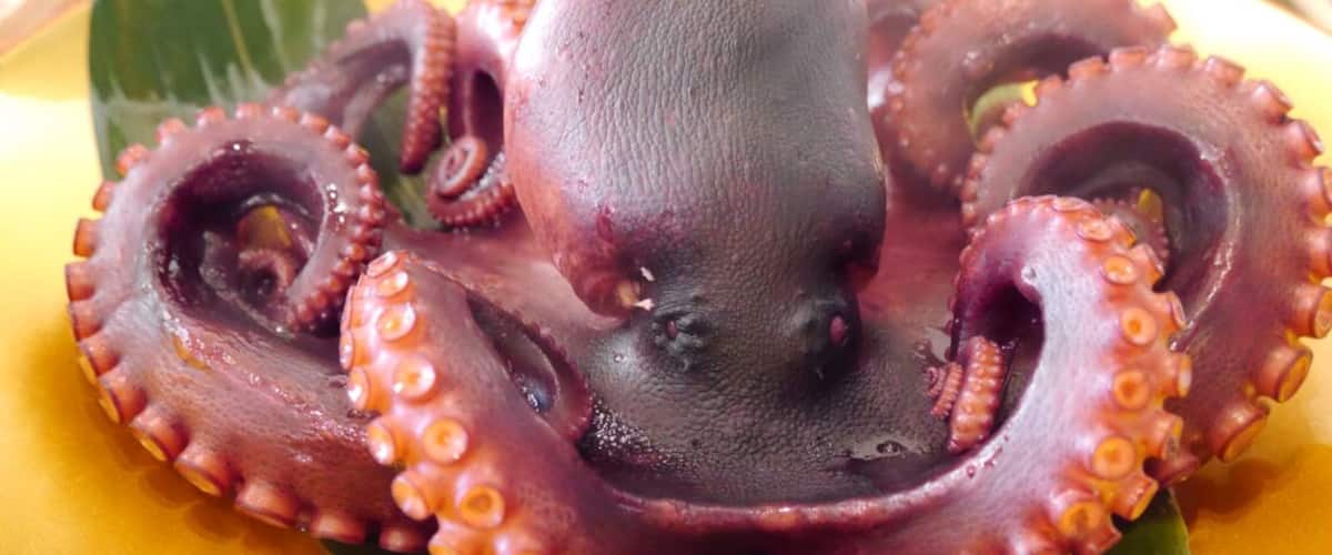 A cooked octopus on a yellow plate with green leaves.