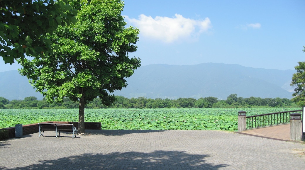 Giroike (Pond) at Aqua World Suigo Park Center Kaizu, Gifu, Japan.