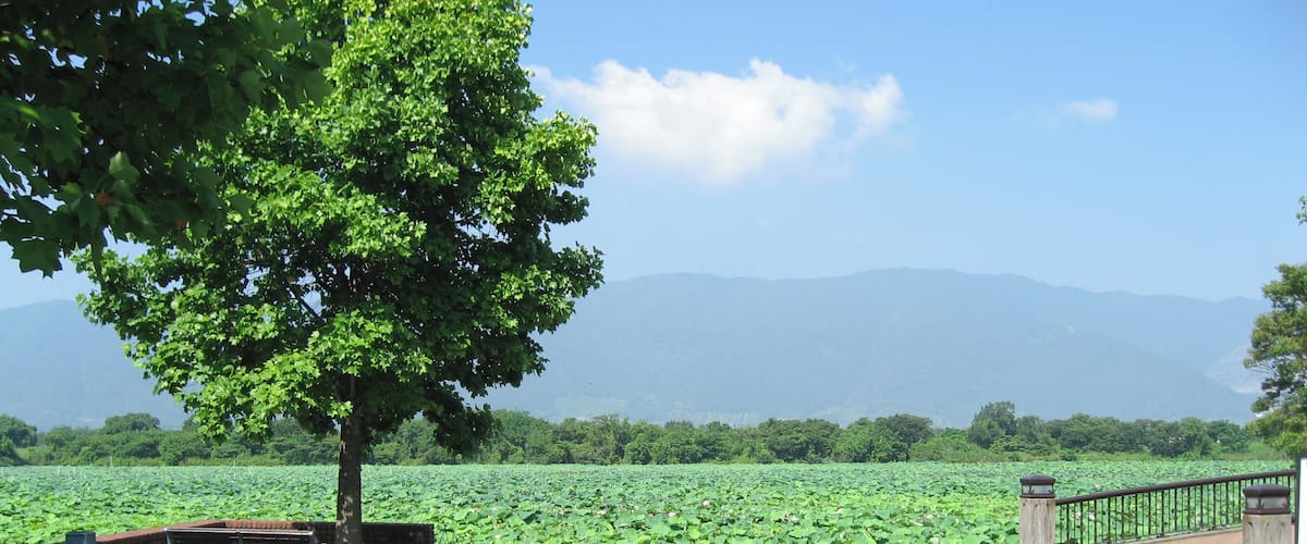 Giroike (Pond) at Aqua World Suigo Park Center Kaizu, Gifu, Japan.