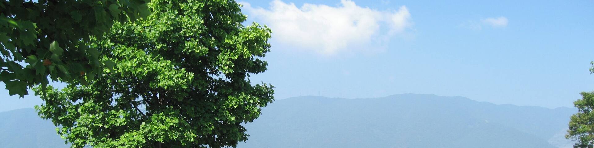 Giroike (Pond) at Aqua World Suigo Park Center Kaizu, Gifu, Japan.