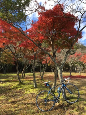 二ノ瀬
