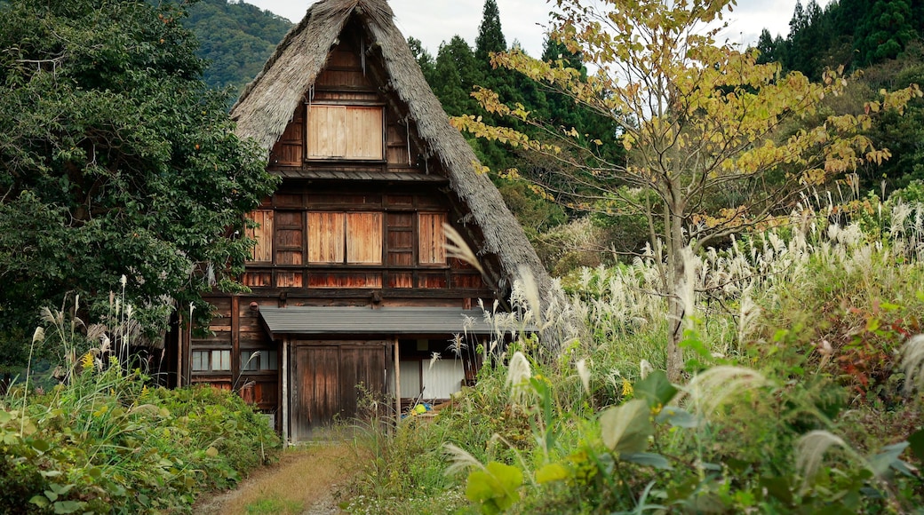A traditional wooden house with a thatched roof surrounded by lush greenery and tall grasses.