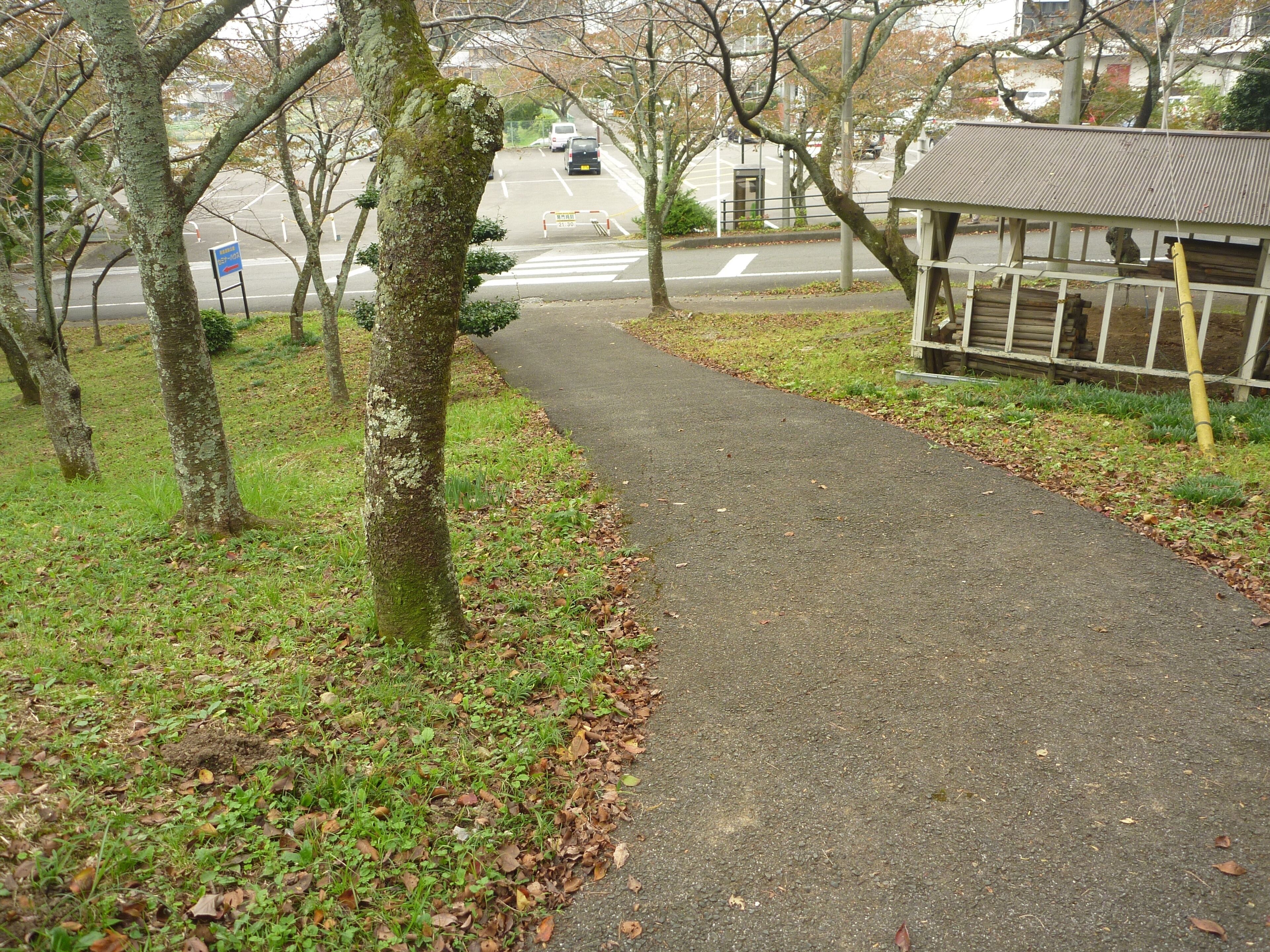 朝倉公園 (岐阜県不破郡垂井町)